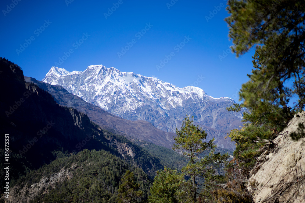 Peak and trees in the Himalaya mountains, Annapurna region, Nepal