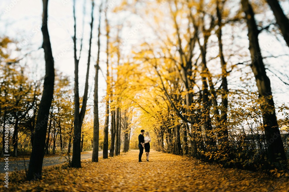 Young couple having fun in the autumn forest Young couple having fun in the autumn forest