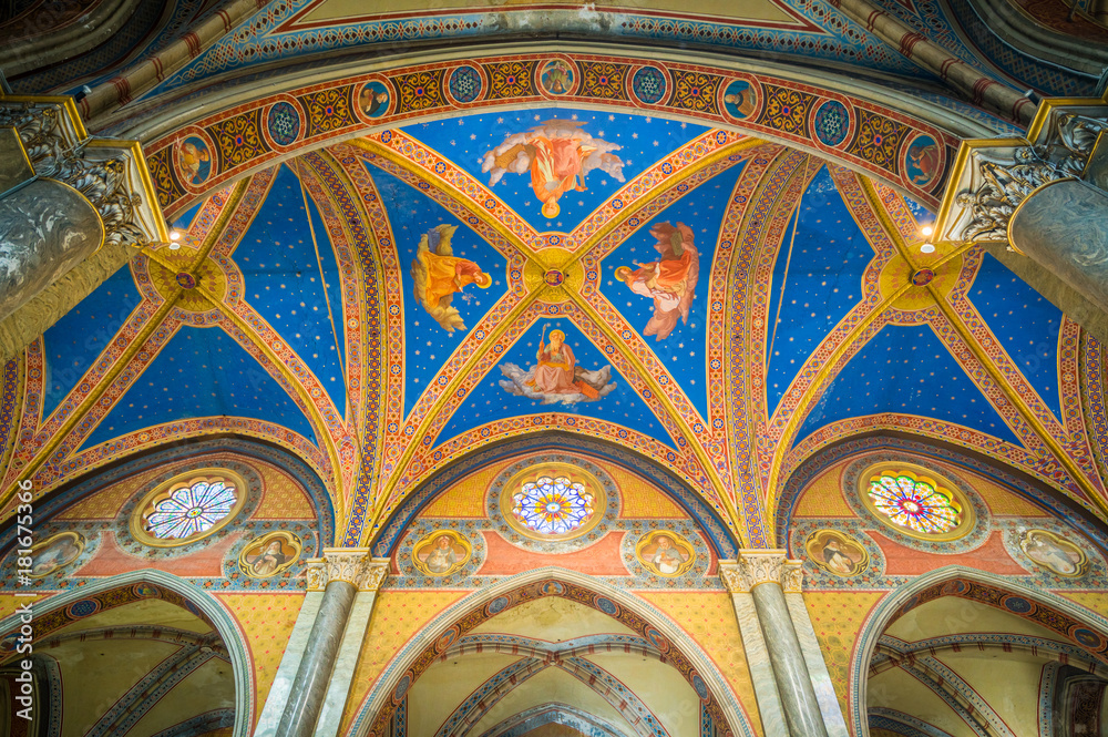 The ceiling of the Church Santa Maria sopra Minerva in Rome, Italy.