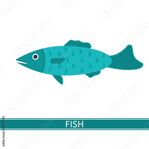Vector illustration of fish isolated on white background in flat style