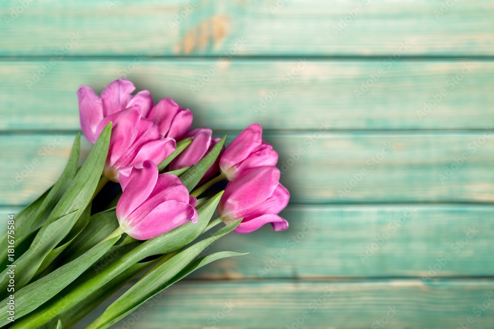 Spring. Spring.