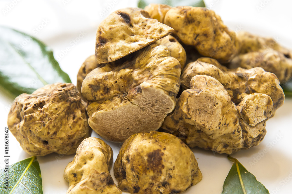 Fotografie white truffles on a plate