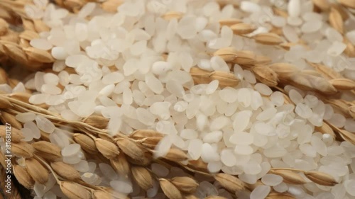An ear of rice on a wood bowl.