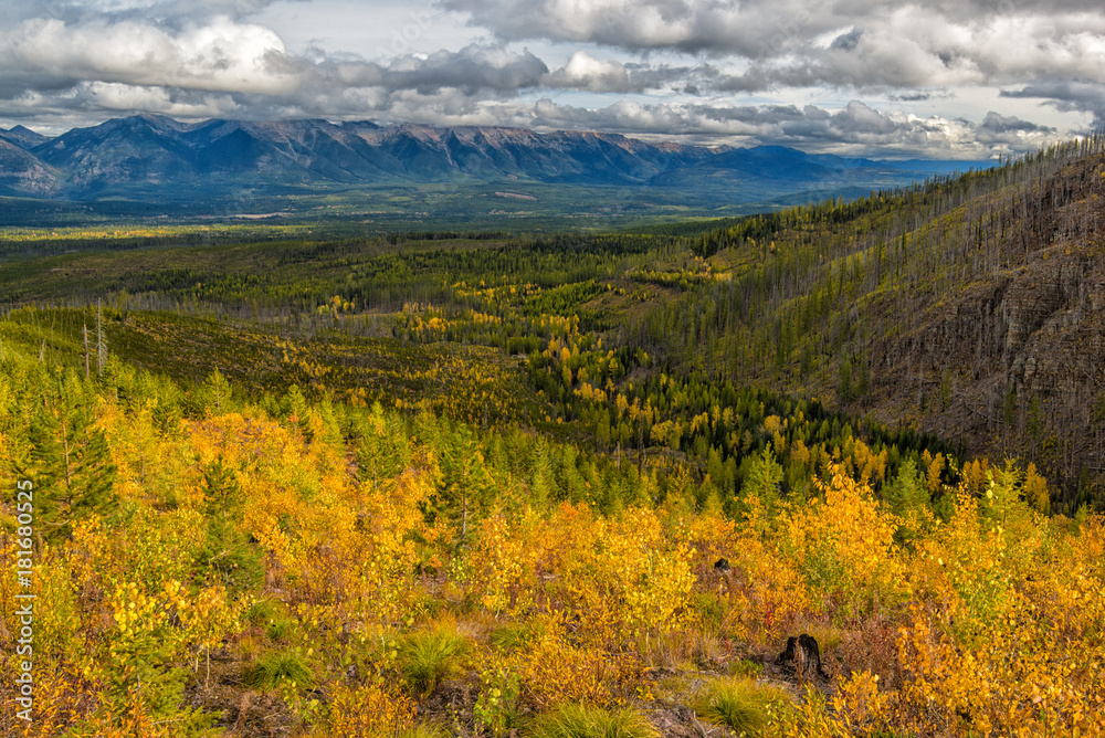 Autumn color over a mountain valley in Montana