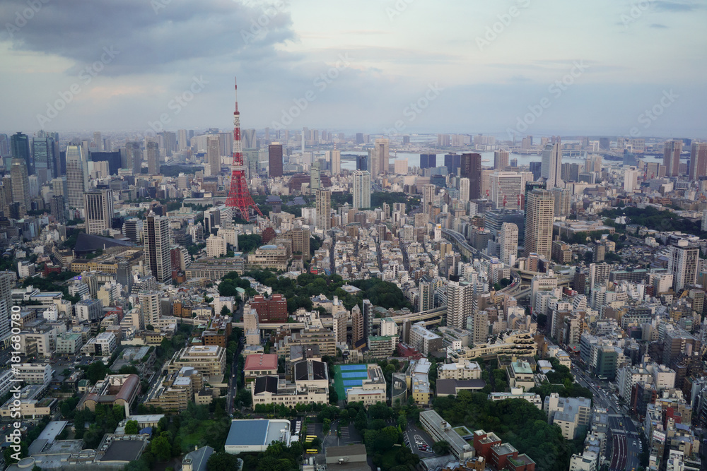 Tokyo skyline from the Roppongi Tower