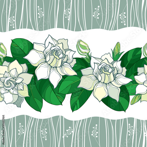 Vector seamless pattern with outline Gardenia flower in pastel color. Ornate bud and green leaves on the white background. Floral pattern with Gardenia in contour style for summer design.