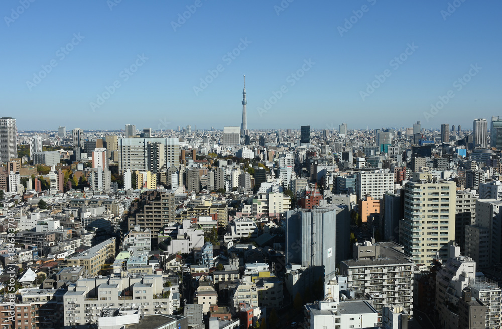 Fototapeta premium 日本の東京都市景観「墨田区や台東区方面などを望む」