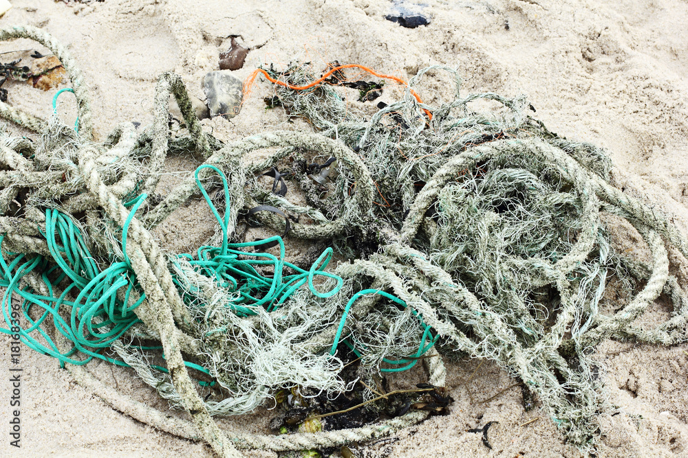 Residues of ropes and nets at the North sea coast
