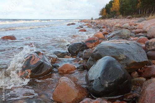 morning scenery of a baltic shore