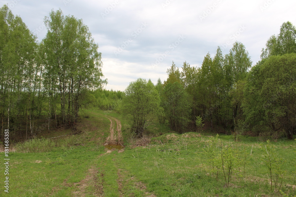 The road in the forest for off-road vehicles. Summer. Great illustration