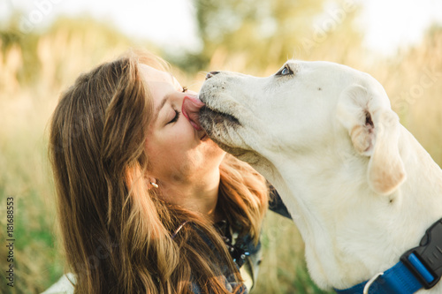 A white labrador dog plays with a beautiful girl and licks her face