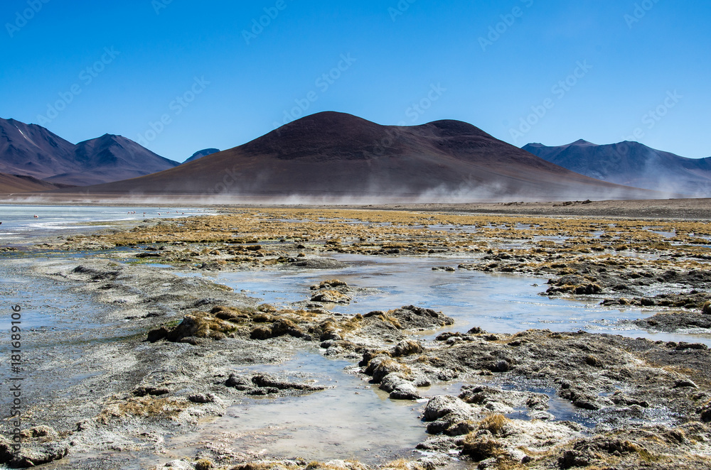 Flamingos in Laguna Hedionda located in the Bolivian altiplano near the Uyuni Salt Flat