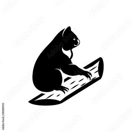 vector koala silhouette