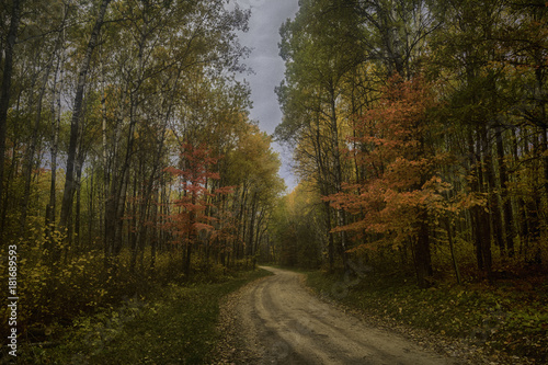 Fall colors, Alice Lake road.