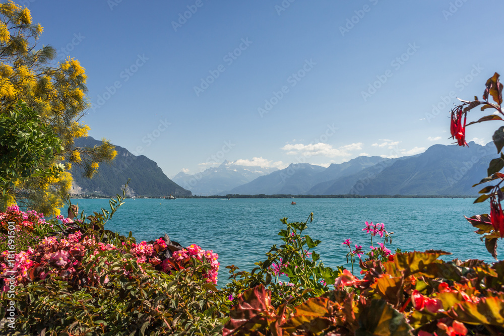 Geneva Lake View