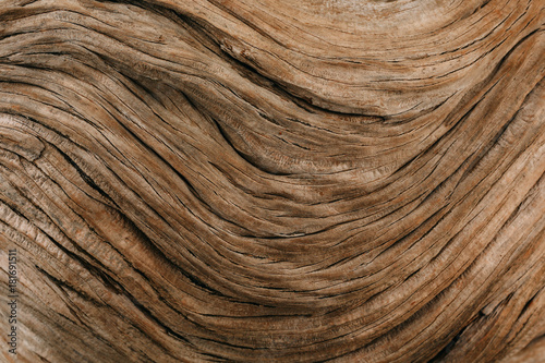 old wooden texture, natural wooden pattern close-up