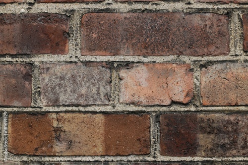 Canvas Print The wall