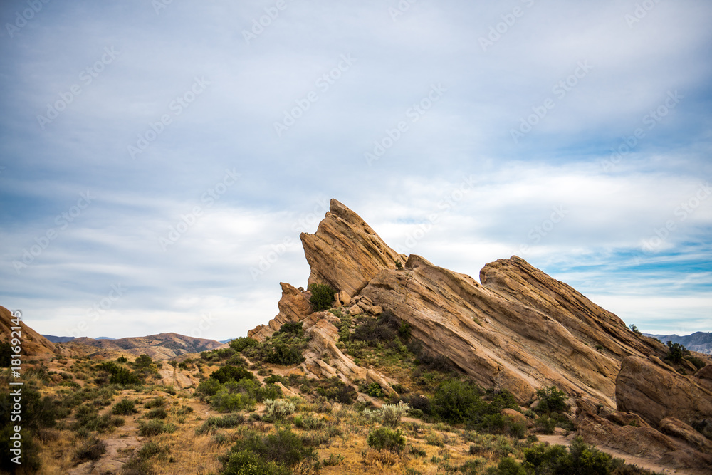 Fototapeta premium Vasquez