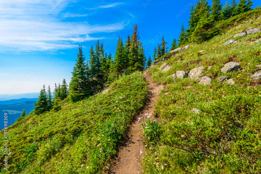 Fragment of Lightning Lake trail in Manning Park, British Columbia, Canada. Fragment of Lightning Lake trail in Manning Park, British Columbia, Canada.