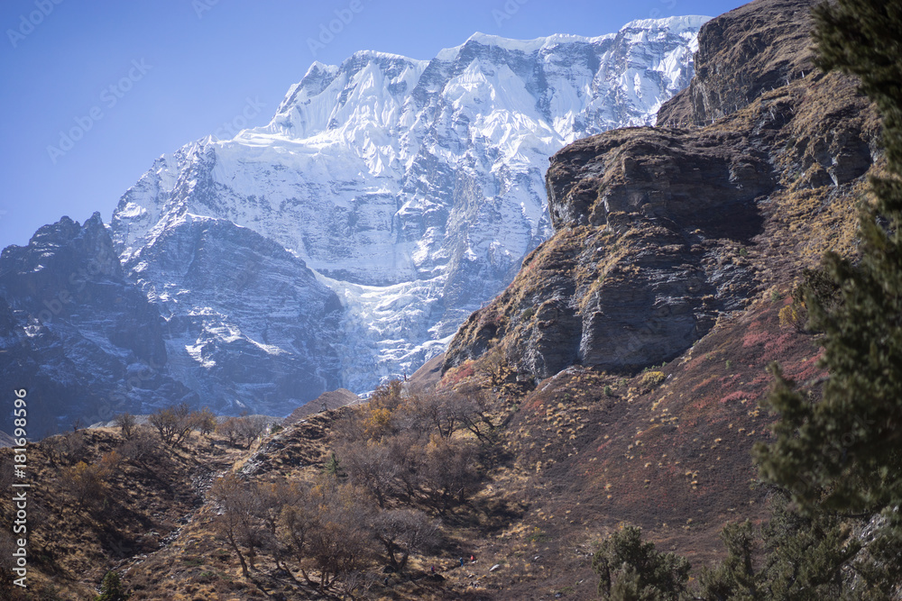 Snowcapped Peak and Forest in the Himalaya mountains, Annapurna region, Nepal