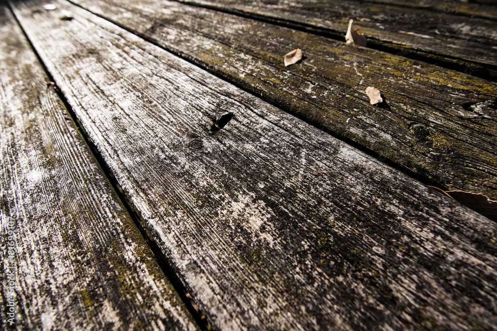 Obraz premium Texture