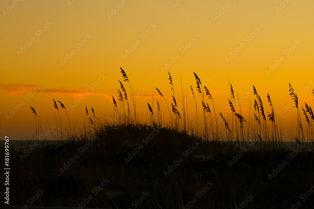 Obraz premium Sunset over the sea oats