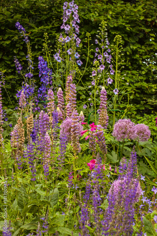 Obraz premium Beautiful Flowerbed in a Dublin Park