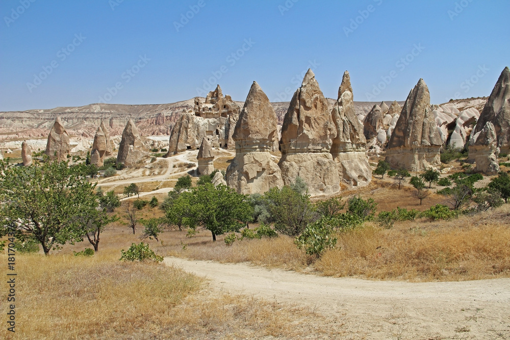 Natural valley with volcanic tuff stone rocks in Goreme in Cappadocia, Turkey.