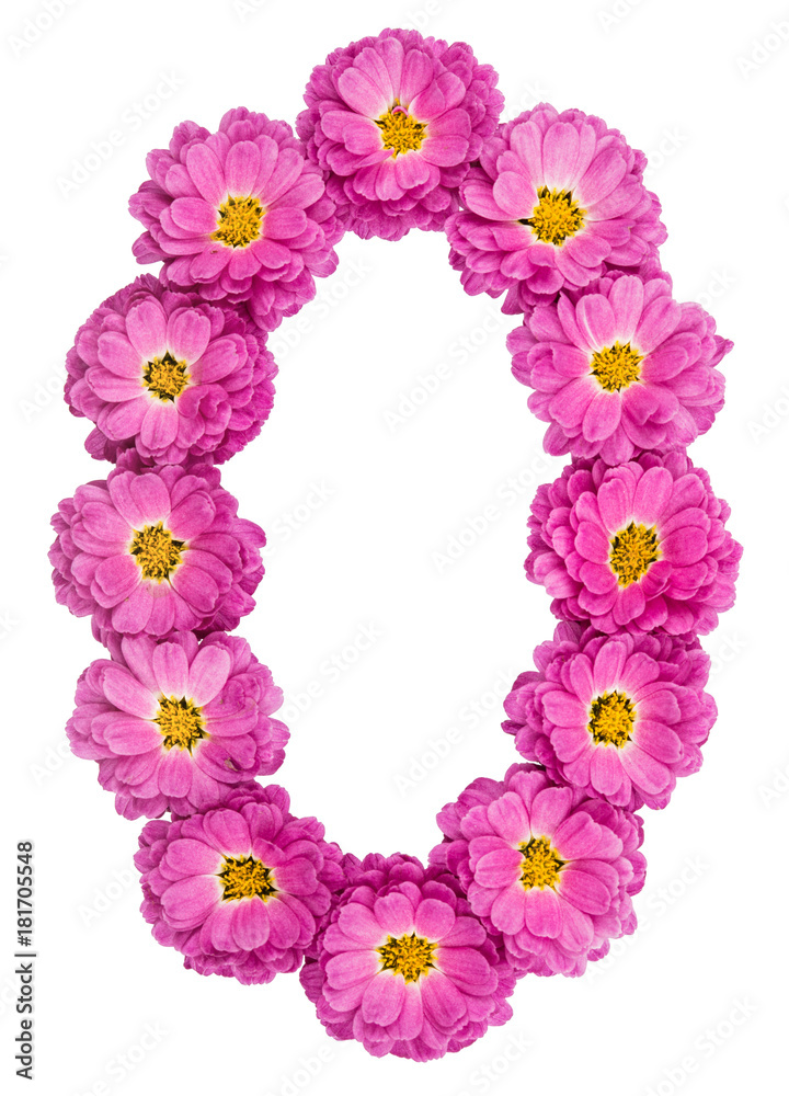 Arabic numeral 0, zero, from flowers of chrysanthemum, isolated on white background