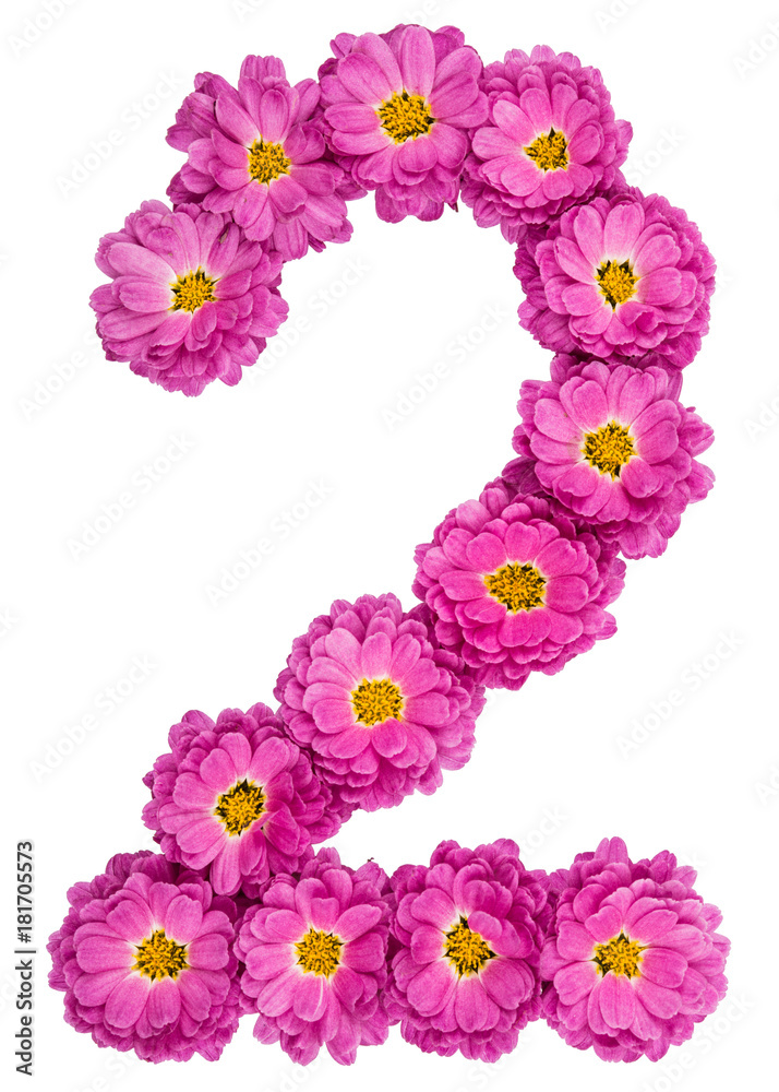 Arabic numeral 2, two, from flowers of chrysanthemum, isolated on white background