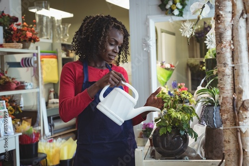 Female florist watering plants