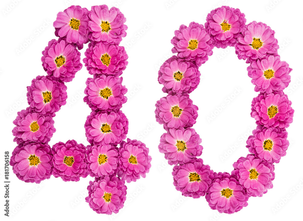 Arabic numeral 40, forty, from flowers of chrysanthemum, isolated on white background