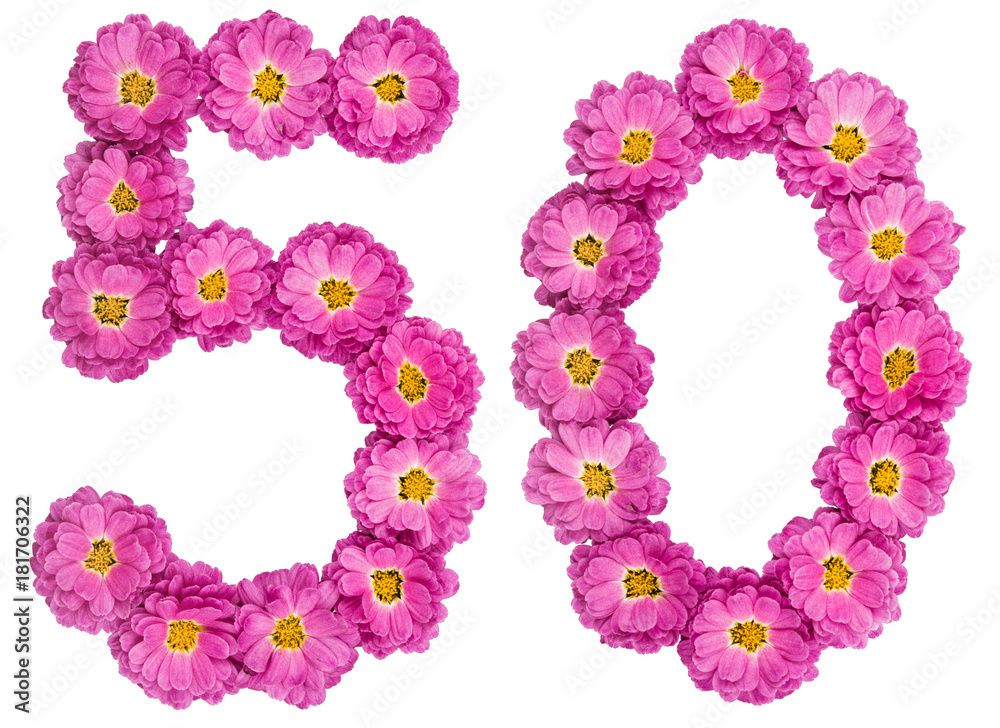 Arabic numeral 50, fifty, from flowers of chrysanthemum, isolated on white background
