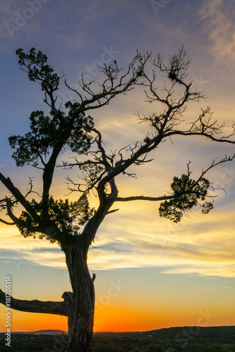 360 Bridge Overlook Sunset © Chee