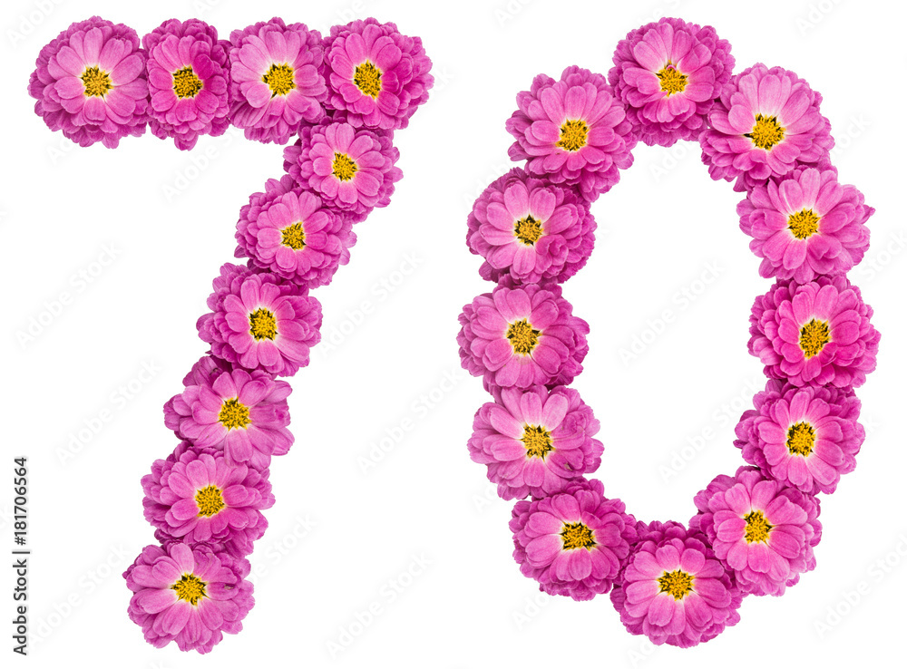 Arabic numeral 70, seventy, from flowers of chrysanthemum, isolated on white background