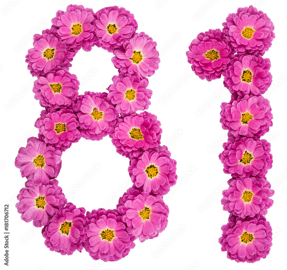 Arabic numeral 81, eighty one, from flowers of chrysanthemum, isolated on white background