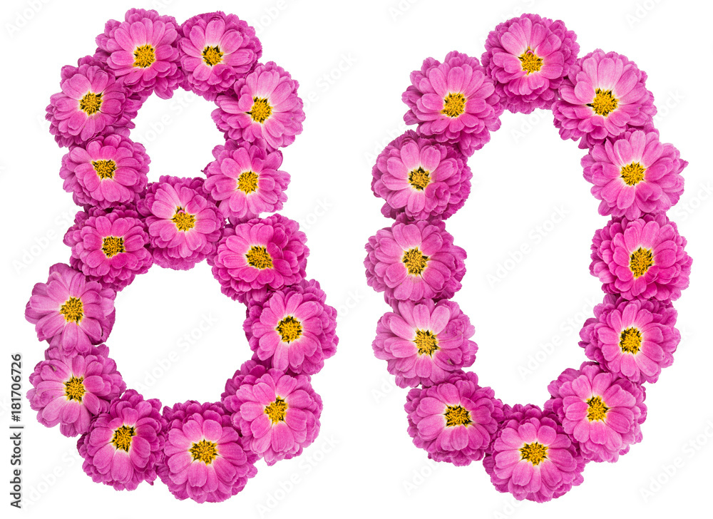 Arabic numeral 80, eighty, from flowers of chrysanthemum, isolated on white background Arabic numeral 80, eighty, from flowers of chrysanthemum, isolated on white background