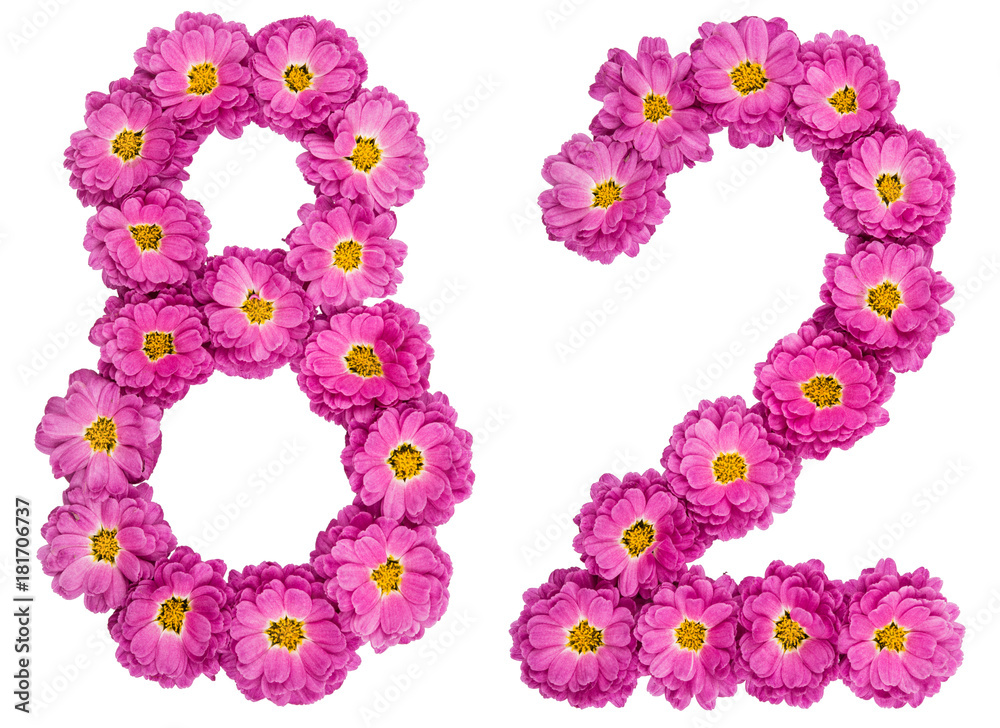 Arabic numeral 82, eighty two, from flowers of chrysanthemum, isolated on white background