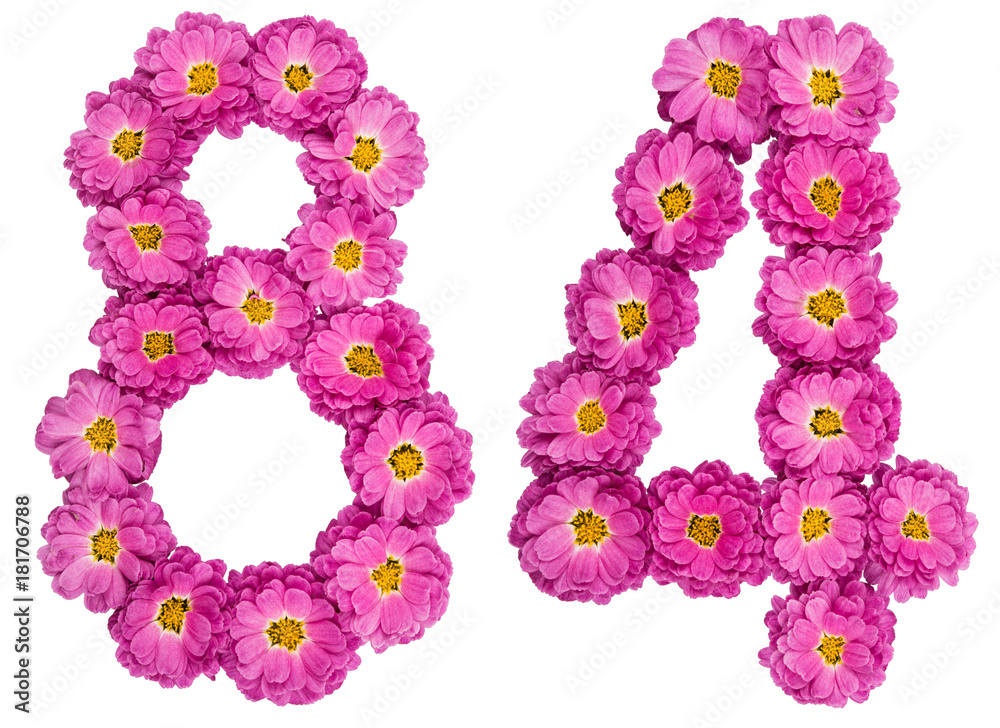 Arabic numeral 84, eighty four, from flowers of chrysanthemum, isolated on white background
