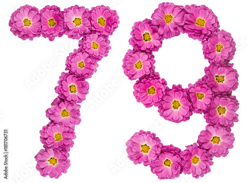 Arabic numeral 79, seventy nine, from flowers of chrysanthemum, isolated on white background