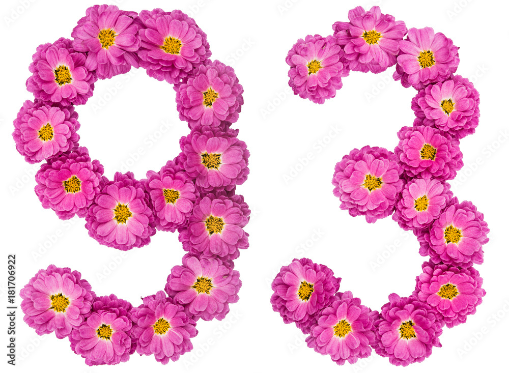 Arabic numeral 93, ninety three, from flowers of chrysanthemum, isolated on white background