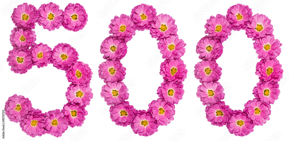 Arabic numeral 500, five hundred, from flowers of chrysanthemum, isolated on white background Arabic numeral 500, five hundred, from flowers of chrysanthemum, isolated on white background