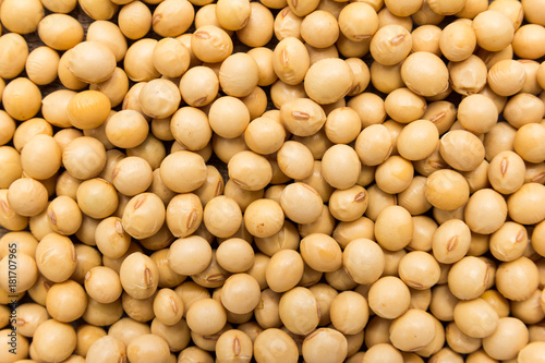 Soybean legume. Closeup of grains, background use.
