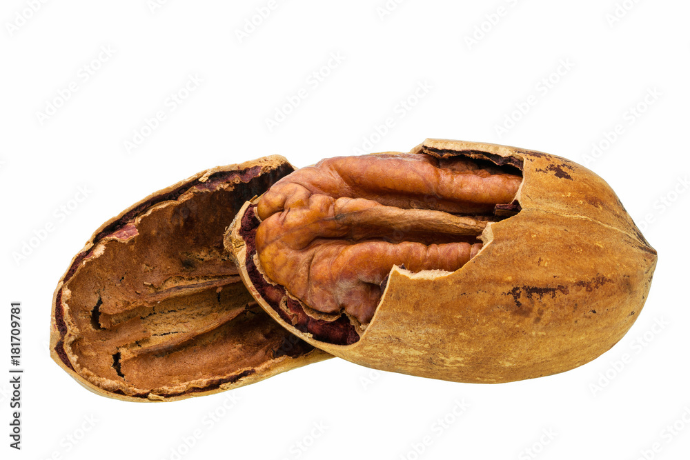 Single half of pecan, isolated on white background Single half of pecan, isolated on white background