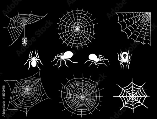 Spiders and spider web silhouette spooky nature halloween element vector cobweb decoration fear spooky net.