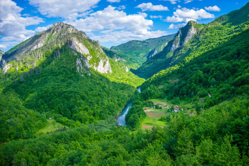 Fotobehang Groen The opening of the landscape from the bridge Djurdjevic in the north of Montenegro.  © Sergej Ljashenko