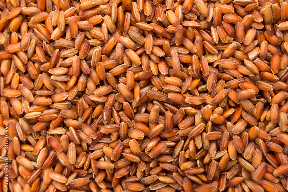 Bhutanese Red Rice seed. Closeup of grains, background use. Bhutanese Red Rice seed. Closeup of grains, background use.