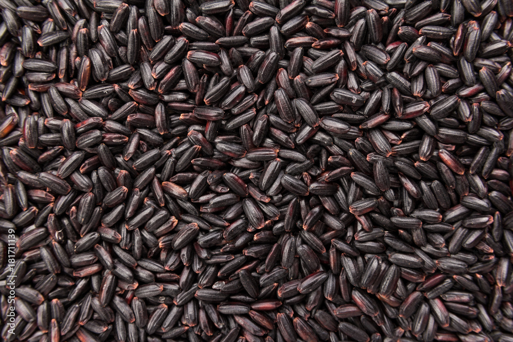 Black Rice seed. Closeup of grains, background use.