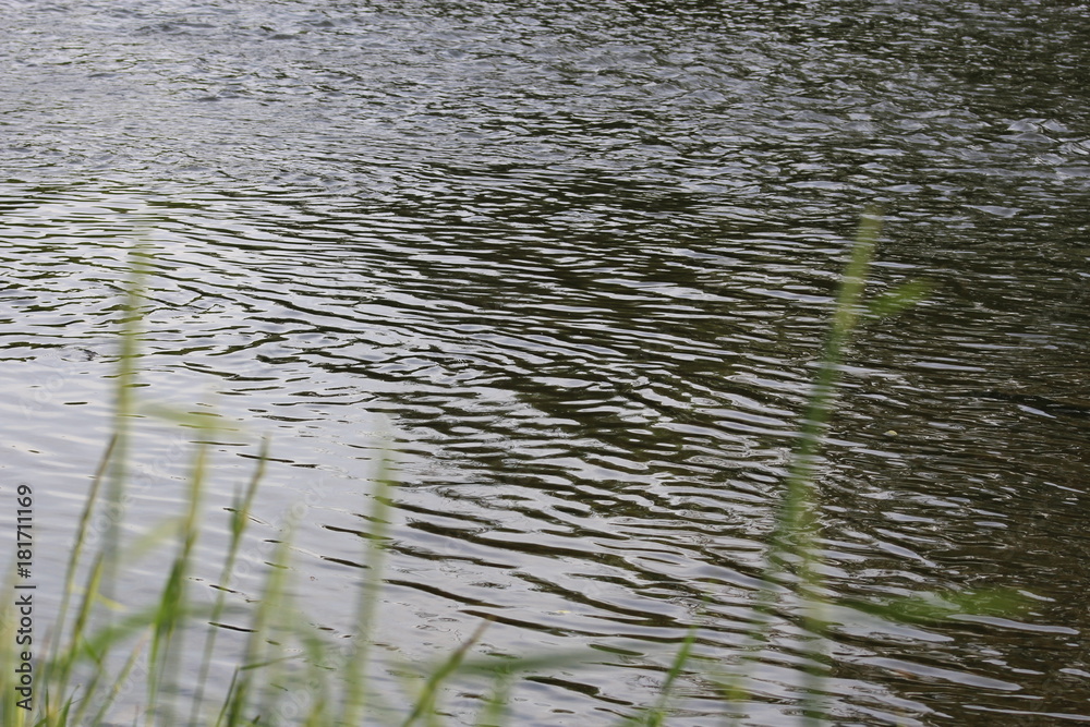 Fototapeta premium Water's Surface