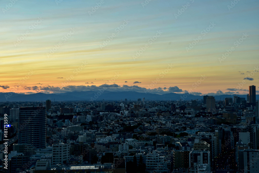 Fototapeta premium 東京の夕焼け